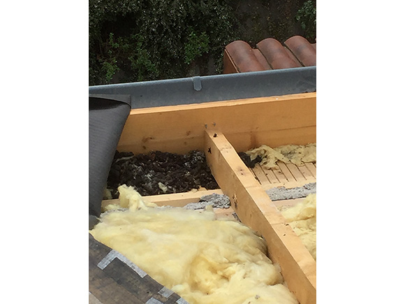 Découverte d’un » crottier » sous toiture