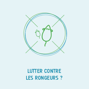 lutter rongeur