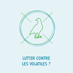 lutter volatile