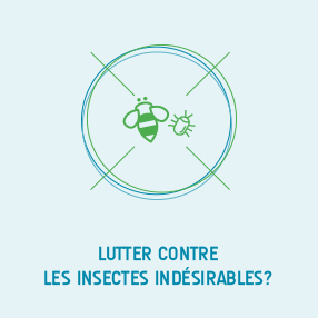 lutter insecte