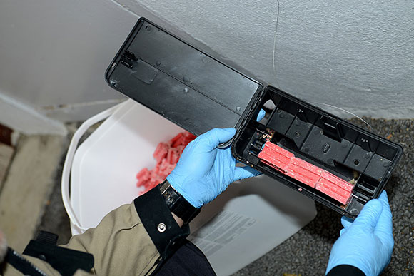 plan daction les appats